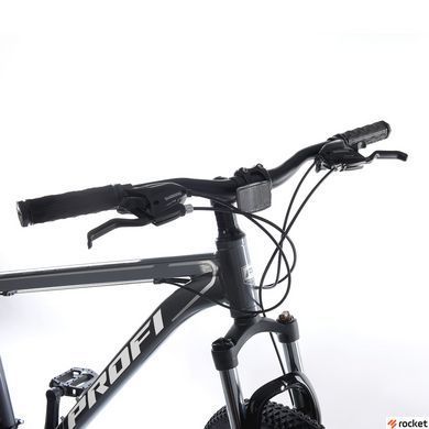 Взрослый велосипед Profi EVEREST 29" Grey