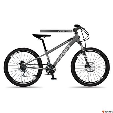 Чоловічий велосипед Profi 29 д. MTB2903-5 Grey