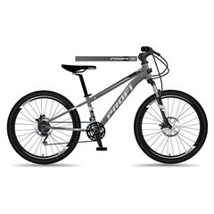 Взрослый велосипед Profi 29 д. MTB2903-5 Grey
