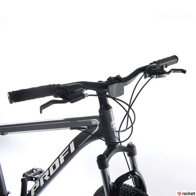 Гірський велосипед Profi EVEREST 29" Grey