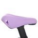 Велосипед детский от 4 лет Profi Stellar 16" Violet