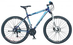 Чоловічий велосипед Rex Bergsteiger 2400 29" Blue