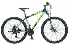 Чоловічий велосипед Rex Bergsteiger 2.01 29" Green