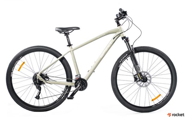 Гірський велосипед Spirit Echo 9.3 29", рама L, сірий, 2021