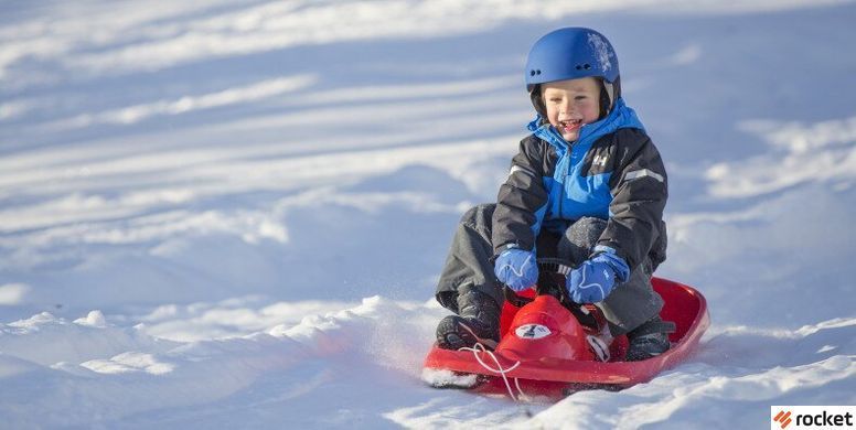 Санки Hamax Управляемые SNO FORMEL Красные