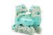 Роликовые коньки Scale Sports Mint LF 605, размер 39-42