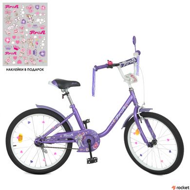 Велосипед Детский от 6 лет Profi Flower 20д. Фиолетовый