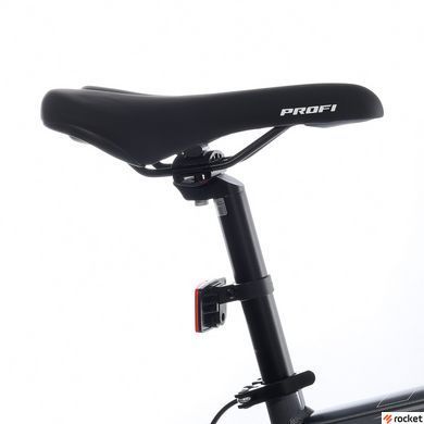 Мужской велосипед Profi EVEREST 29" Grey