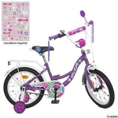 Детский велосипед от 4 лет Profi Blossom 16" Violet